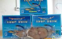 水產品批發(fā)與產業(yè)鏈概述 從捕撈加工到代理經(jīng)銷
