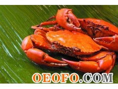 東港市黃海水產(chǎn)品批發(fā)市場(chǎng)利源海鮮批發(fā)商行 供應(yīng)優(yōu)質(zhì)鮮活梭子蟹與飛蟹，物美價(jià)廉