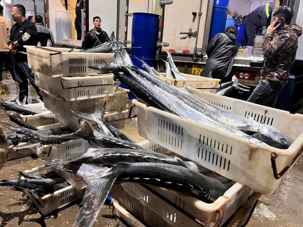 封海前最后一船海鮮抵達城陽水產批發市場，鲅魚仍唱主角